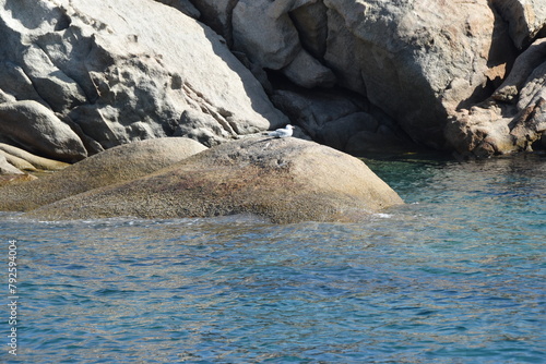 The rocky coast and sea of Tavolara island, Sardinia, Italy(Sardegna, Italia)