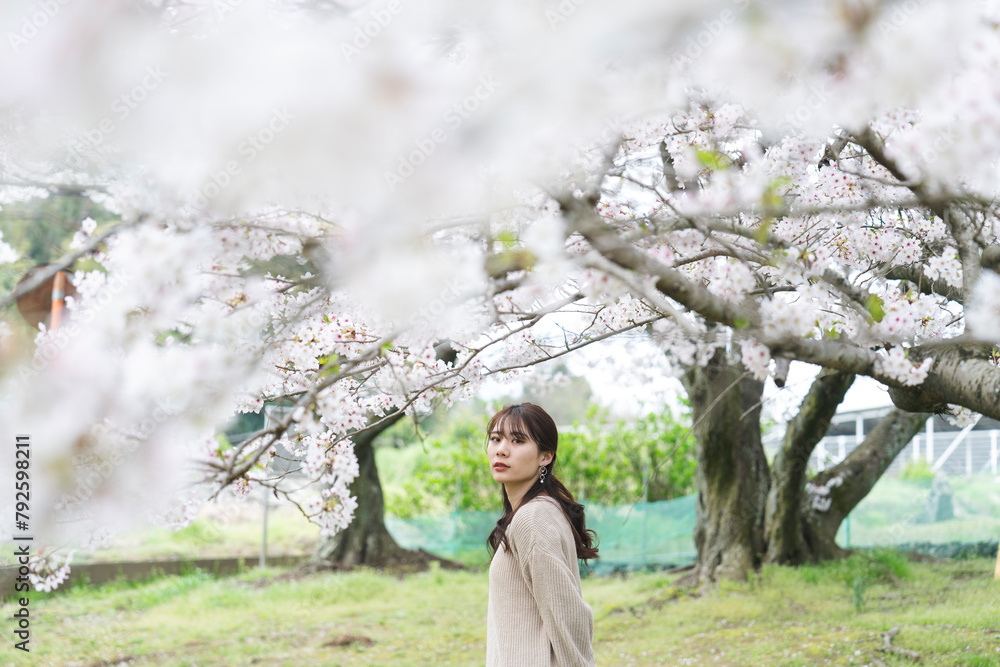 満開の桜と女性 満開の桜と女性