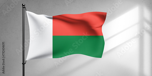 Madagascar national flag cloth fabric waving on beautiful white Background.