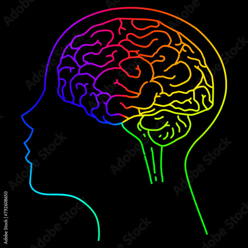 Line art of brain, head line art, rainbow