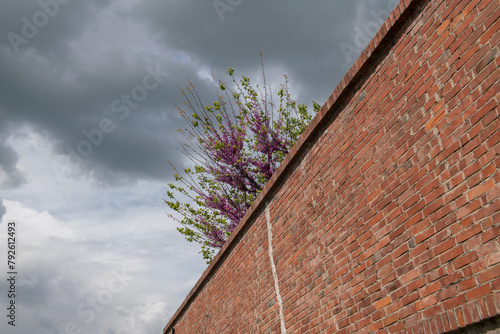 border wall with park and plants behind, secret garden. borders and walls with space beyond which a green area can be glimpsed.