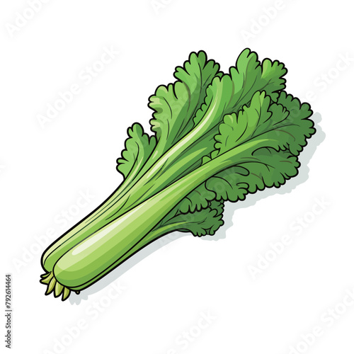 Fresh celery isolated on white background. Vector illustration of celery.