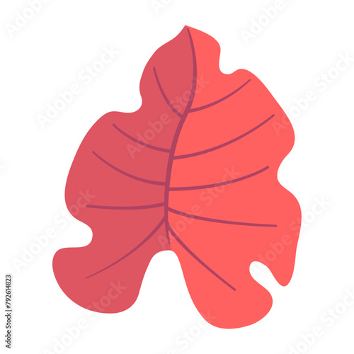 lovely tropical leaf with flat design