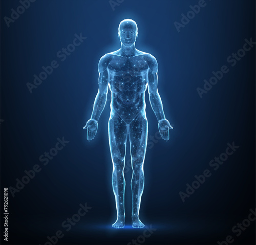 Human body. Abstract vector. Digital anatomy, Medical technology, Muscle structure.
