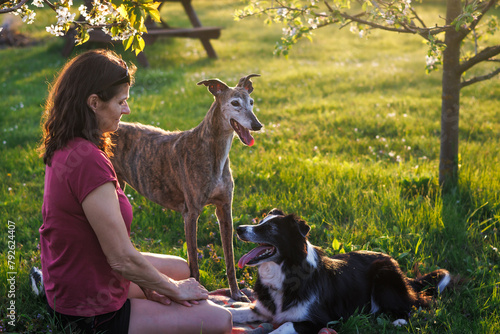 Woman with her dogs relaxing outdoors. Pet owner with greyhound and border collie playing together in park