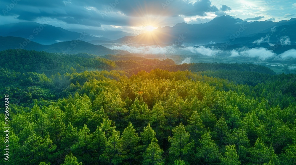 Aerial view of Danongdafu Forest Park at sunrise, capturing the vibrant colors and textures of the landscape from above. Aerial view of Danongdafu Forest Park at sunrise, capturing the vibrant colors and textures of the landscape from above.