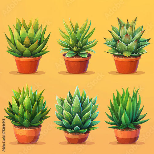 Small plant in pot succulents or cactus isolated on white background by front view