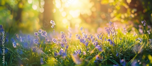 Enchanted Spring Meadow with Bluebells Aglow in Morning Sun - Generative AI