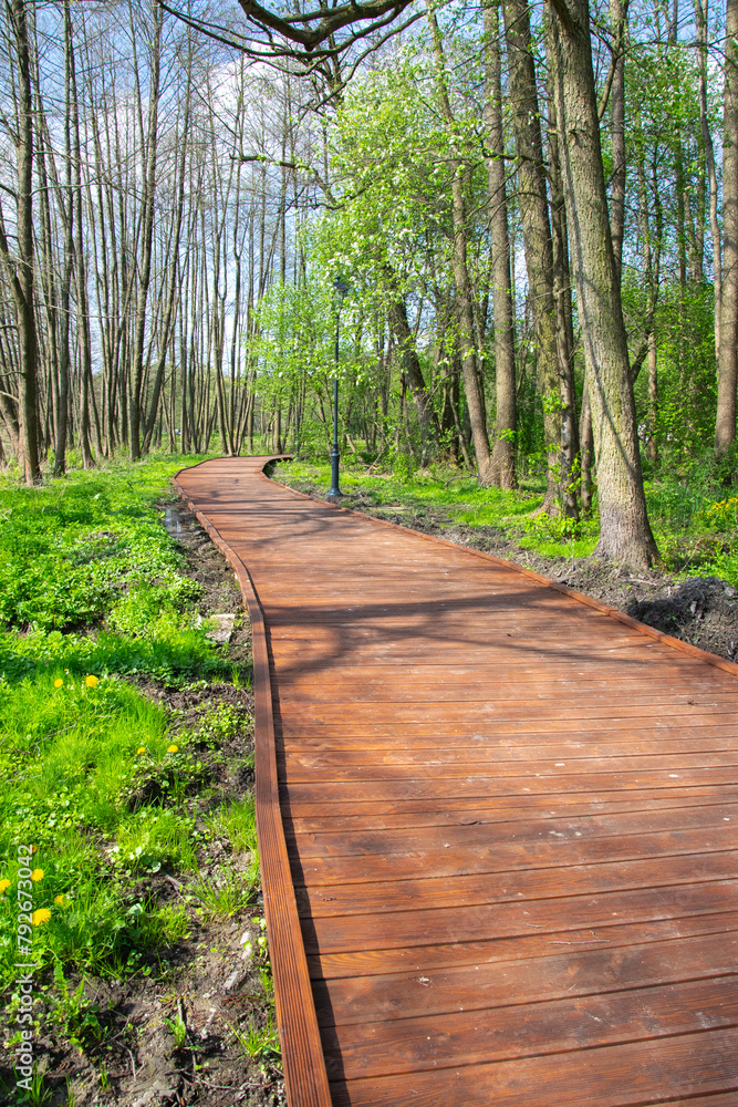 Wooden platform. A path in the woods. The beginning of spring