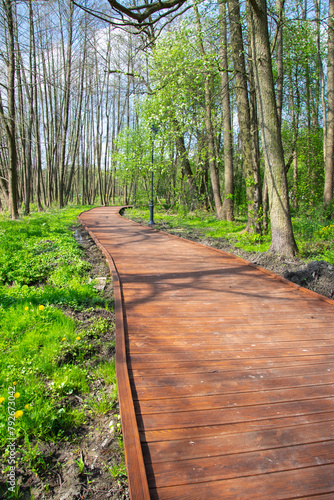 Obraz na płótnie Wooden platform. A path in the woods. The beginning of spring w salonie