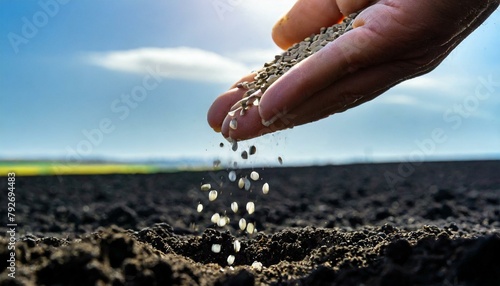 Jesus' Parable About the Sower who went out to Sow The Word. photo