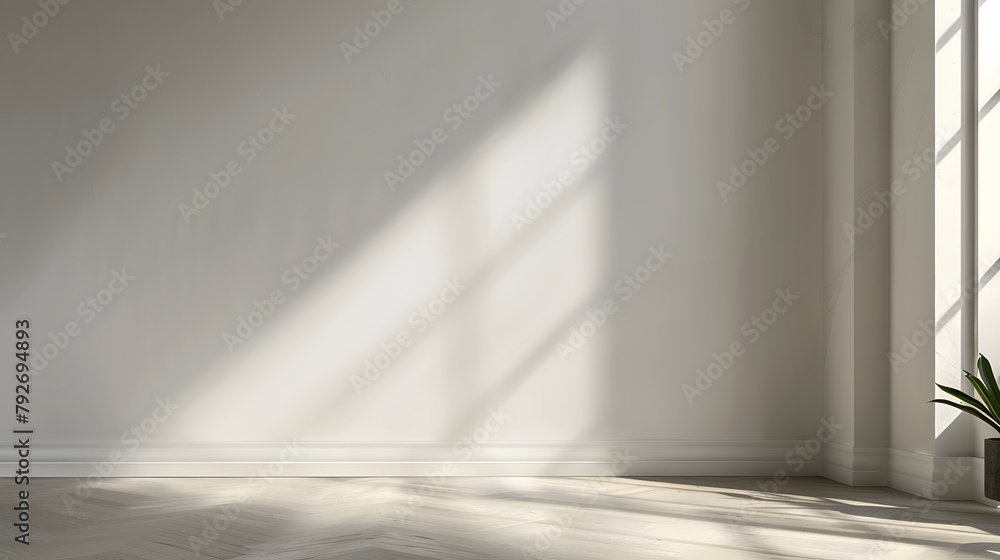 Minimalist photography background Minimalist photography background