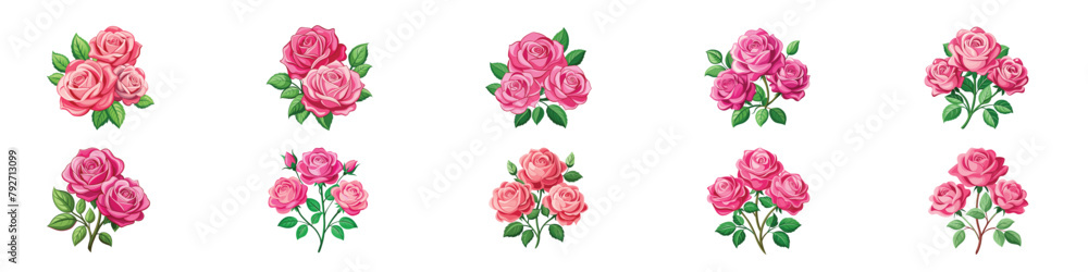 Rose Flower, Roses. Set of three pink rose flowers, Set of beautiful pink rose flowers watercolor isolated on white background. watercolor pink rose flower bouquet