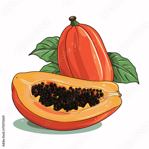 Papaya fruit isolated on white background. Vector cartoon illustration.