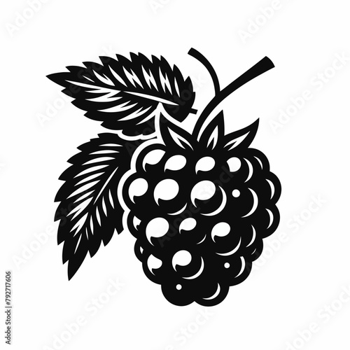 Blackberry silhouette vector illustration White Background