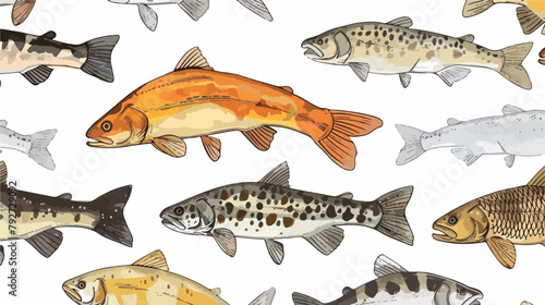 Hand drawn fish. Pike trout and carp. Colored graphic