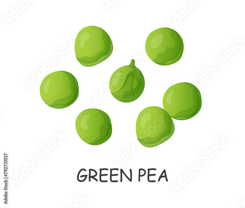 green pea seeds hand drawn in cartoon style