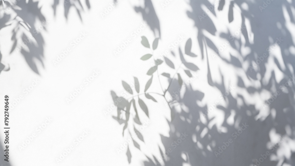 Shadow of Leaves on Wall On Sunny Day Shadow of Leaves on Wall On Sunny Day