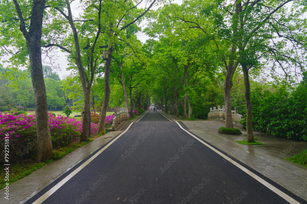 Rhododendrons bloom in Moshan scenic spot on East Lake in Wuhan, Hubei province Rhododendrons bloom in Moshan scenic spot on East Lake in Wuhan, Hubei province