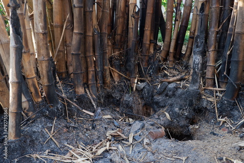the process of burning bamboo stems and people will be used as raw materials for health and beauty © Muhammad