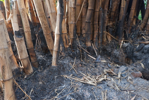 the process of burning bamboo stems and people will be used as raw materials for health and beauty © Muhammad