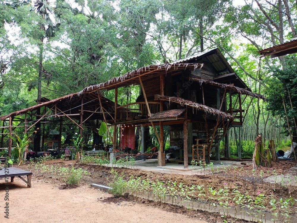 wooden house and homestay in south Thailand wooden house and homestay in south Thailand