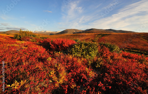 chukotka is a red planet photo