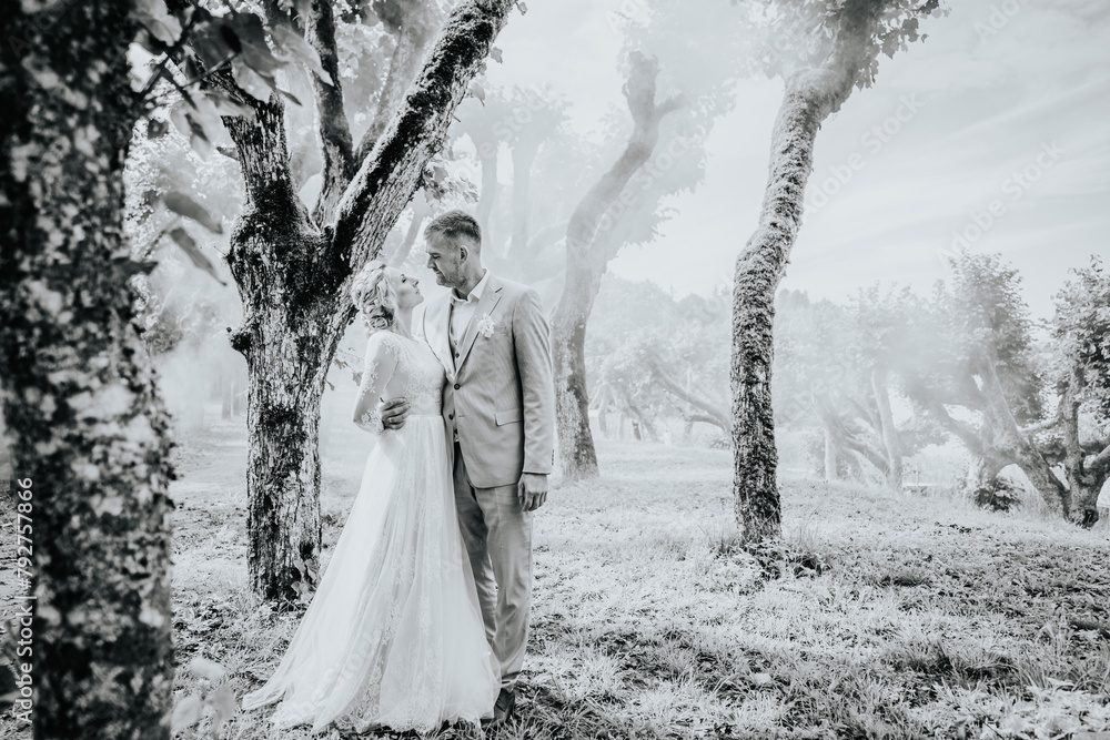 Valmiera, Latvia - August 10, 2023 - Wedding couple embracing among mossy trees in a misty avenue, ethereal and serene setting. Valmiera, Latvia - August 10, 2023 - Wedding couple embracing among mossy trees in a misty avenue, ethereal and serene setting.