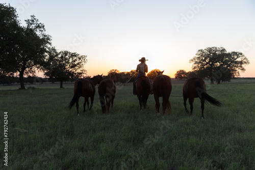 Girl on Horse Leading Horses into Sunset in Field of Green Grass photo