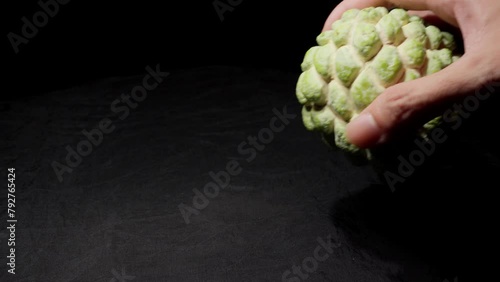 Hand Picking Up Srikaya (Sugar Apple) Fruit From Black Surface. closeup, studio shot photo