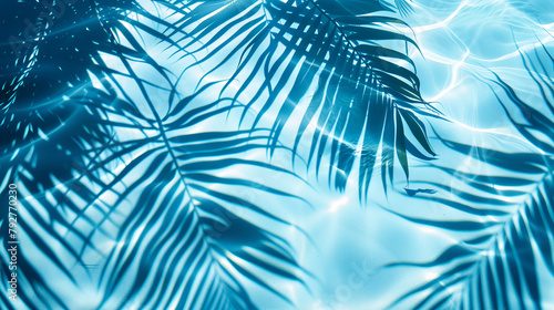 A blue palm leaves reflected in the water. Tropical leaf shadow on water surface. Shadow of palm on blue water. Beautiful abstract background