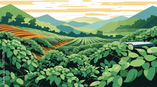 Tea plantation in the morning. Vector illustration of a tea plantation.