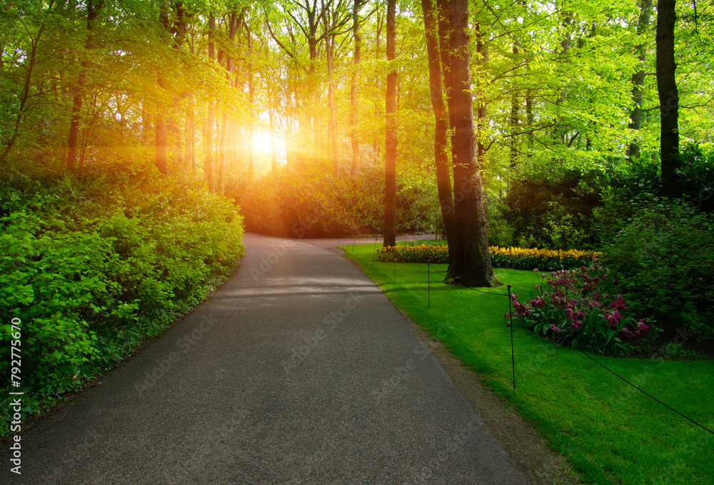 Fototapeta premium Garden stone path in a botanical garden