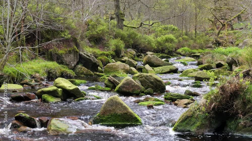 Slow moving forest stream waterfall, nature's serenity scene with tranquil pool below, lush greenery and moss-covered stones, sense of peacefulness and untouched beauty of nature in forest ecosystem Slow moving forest stream waterfall, nature's serenity scene with tranquil pool below, lush greenery and moss-covered stones, sense of peacefulness and untouched beauty of nature in forest ecosystem