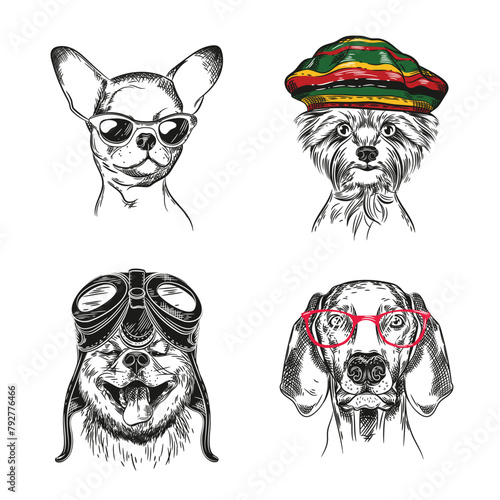 Dogs with various accessories. Chihua, Poitner, Siba Inu, Yorkshire Terrier.