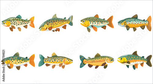 Trout fish, Cute trout fish illustration
