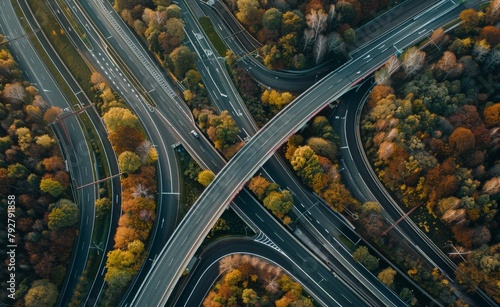 Wildlife overpass above a busy highway, ensuring safe passage for animals and preventing accidents, symbolizing coexistence