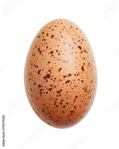 Egg clouseup isolated on transparent background. PNG format