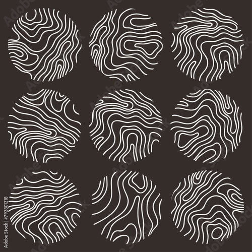 White Topographic Line Map Vector Collection