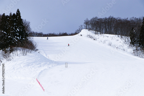 Ski field large white snow on slopes. Tourists come to play winter sports. Ski slopes snow. Winter banner panorama of slope at ski resort, people skiing, surrounded by pine trees, blue sky.