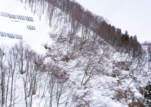 Mountain peak white snow in winter landscape in Japan. Suitable for tourists and visiting citizens. Trees are dry and leafless with winter weather. Awesome Beautiful Mountain tourism vacation.