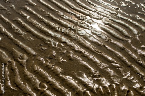 texture di bassa marea photo