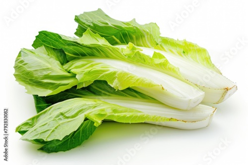 Fresh and Healthy Endive Lettuce. Isolated Green Leaf Vegetable for Salad on White Background