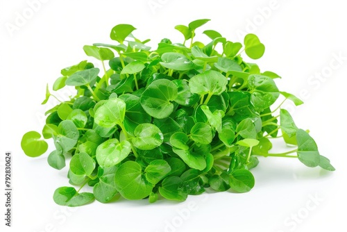 Fresh Watercress Isolated on White Background - Organic Green Food for Healthy Nature