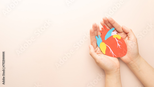 Template for cardiology, world heart day and organ donation concept. Woman hands holding human heart organ anatomy made from paper on beige background. Awareness of cardiovascular disease.
