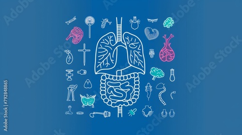 Anatomy icons of human internal organs. Simple thin outline icons as lung, heart, stomach, bone, brain, kidney, skull, and others. Editable strokes. photo