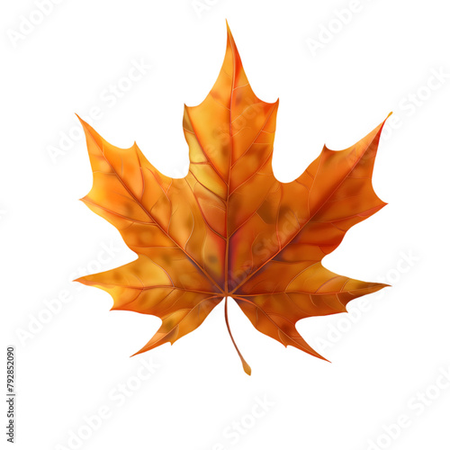A single maple leaf with autumn colors, with a clear and detailed texture, on a transparent background.