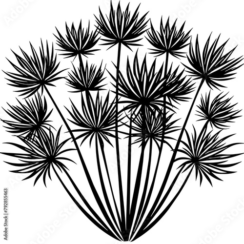 papyrus plant silhouette - Vector - Vector art - Vector illustration - Vector design - Latest Vector - Ultimate Vector - Premium Vector - Vector pro - Premium illustration
