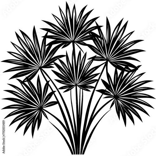 T-shirt Design Vector Beautiful Papyrus plant silhouette - Vector - Vector art - Vector illustration - Vector design - Latest Vector - Vector - Premium Vector - Vector pro - Premium illustration