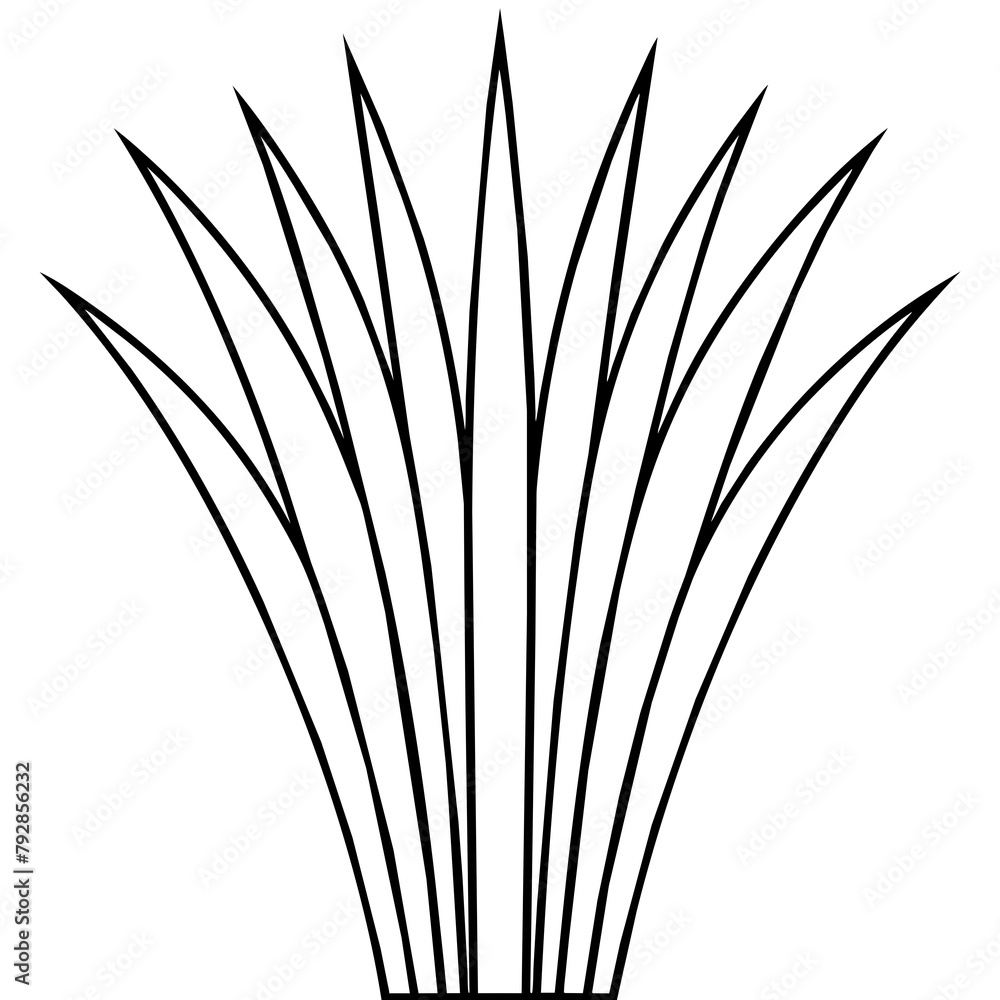Fototapeta premium T-shirt Design Vector Beautiful abstract papyrus reed design - Vector - Vector art - Vector illustration - Vector design - Latest Vector - Vector - Premium Vector - Vector pro - Premium illustration